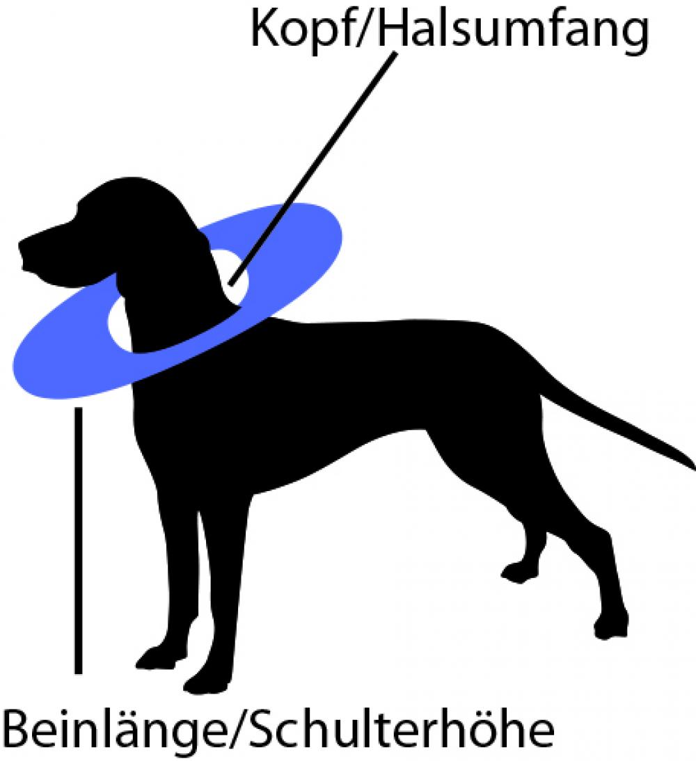 petOflex Leckschutz f. Hunde Farbe dunkelgrau mit grauem Kragen